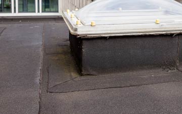 disadvantages of Hampton On The Hill flat roofs